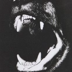 Budget 🤩 YOURTURN Prix Raisonnable UNISEX - T-shirt imprimé t shirt Col rond all 🤩 -YOURTURN Soldes 2022 58bb31f561364d32afd21d152180aa2a scaled